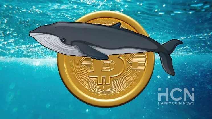 Крупные держатели биткоинов сократили свои запасы на 220,000 BTC