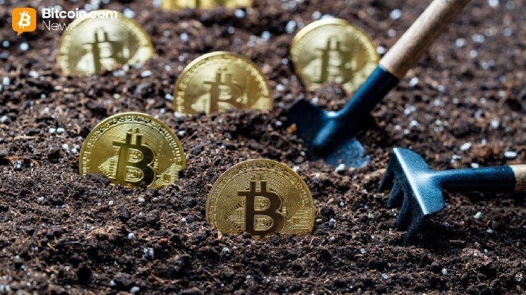 
			Последний миллион: почему эксперты считают, что добыча 20 миллионов BTC укрепляет &laquo;доказуемую редкость&raquo;		