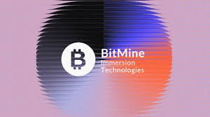 
			Bitmine запустила MAVAN &ndash; платформу для стейкинга ETH институционального уровня		