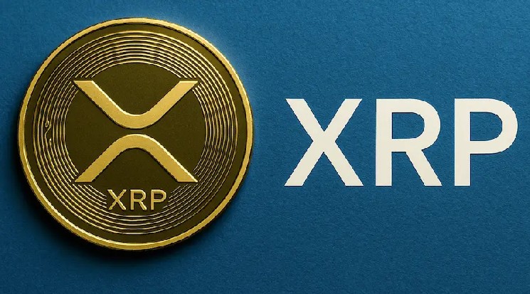 
			Стали известны самые крупные инвесторы в XRP-фонды		