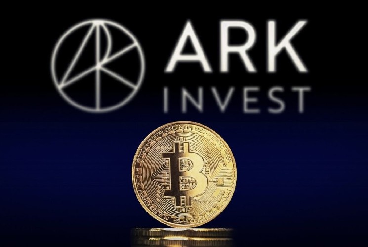 
			Аналитическая компания ARK Invest представляет подробный отчет о биткоине: достигли ли мы дна или вот-вот достигнем?		